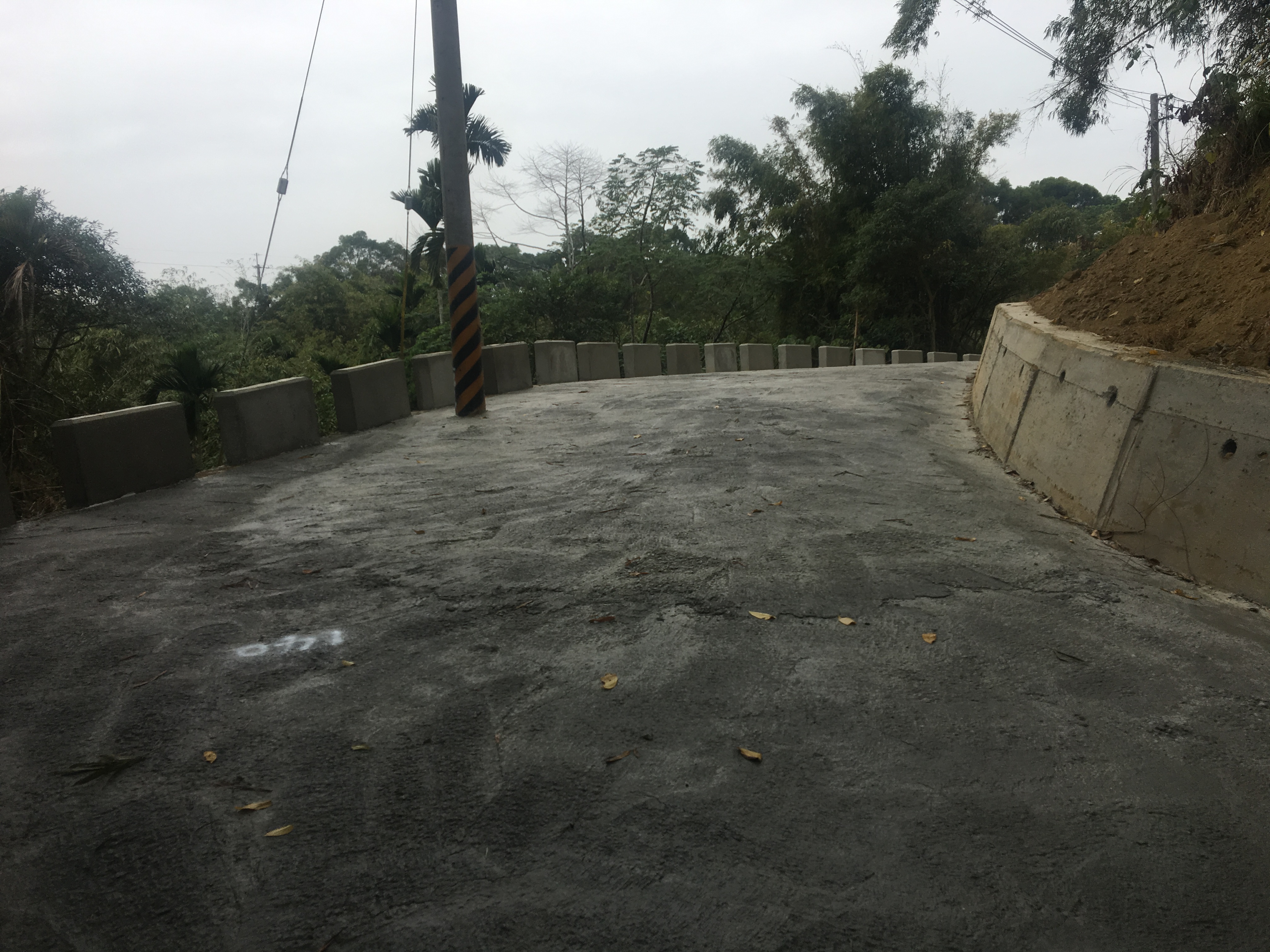 虎頭崁埤上游左岸農路改善工程