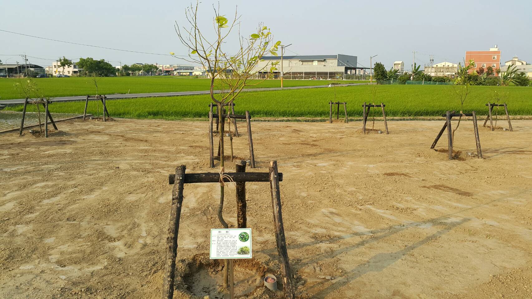 雲林縣斗南鎮田頭段494-1地號裸露地綠化計畫