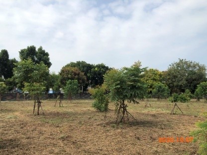 雲林縣斗南鎮重光段443、449等2筆地號裸露地綠化計畫