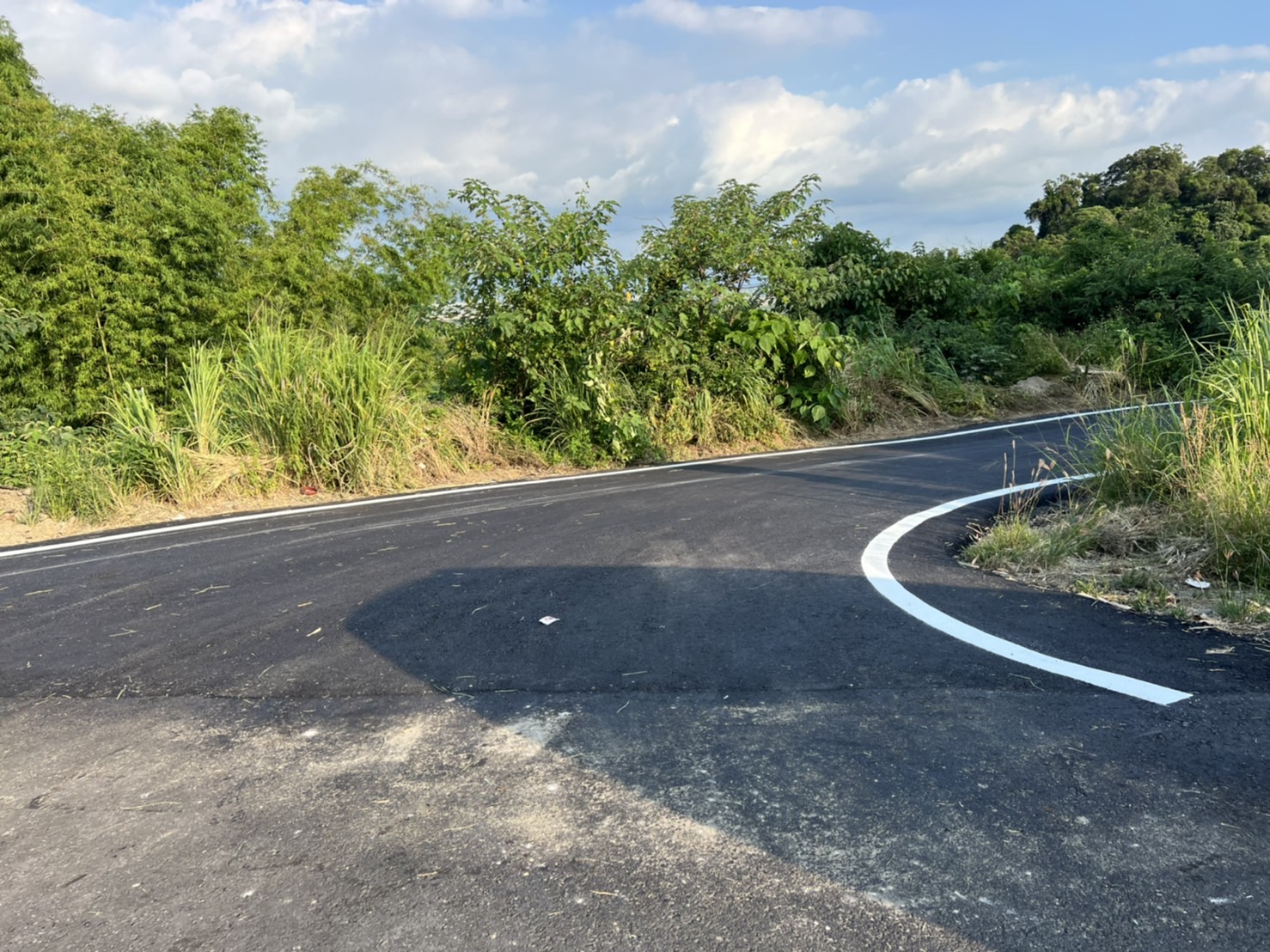 111年度高雄市農路AC鋪面維護工程(開口契約)