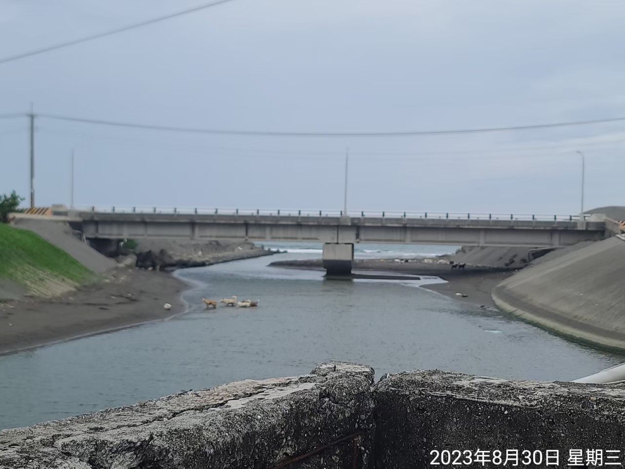 112年度岡山等9區區域排水清疏及維護工程(開口契約)