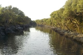 竹仔港